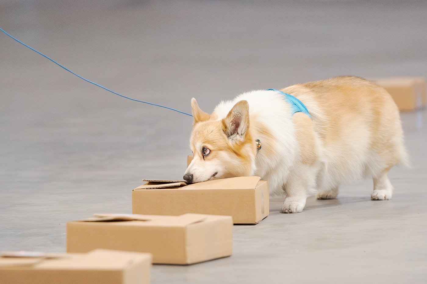 pawstime20250810090725DSC03631.jpg
