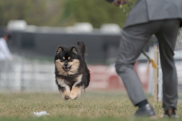 pawstime__20250913_122249_DSC03747.jpg