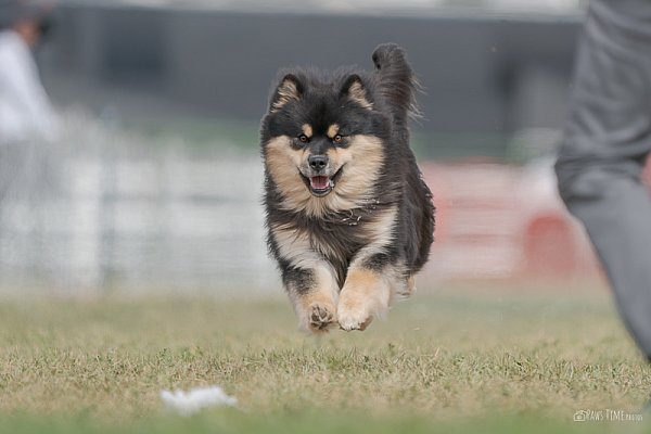 pawstime__20250913_122249_DSC03747-3.jpg