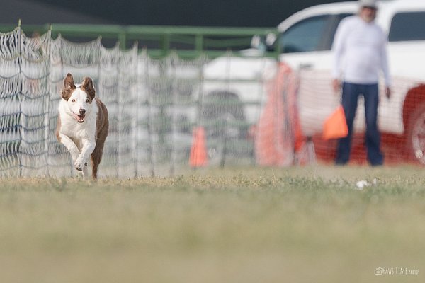 pawstime_20250914_160421_DSC03410.jpg