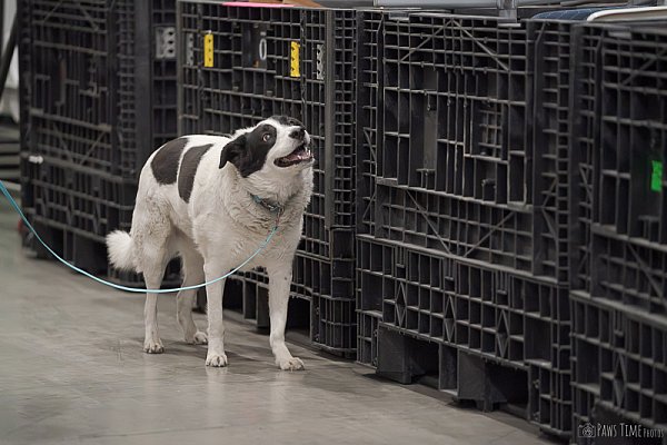 Pawstime_20260315_115045_DSC7798-2.jpg
