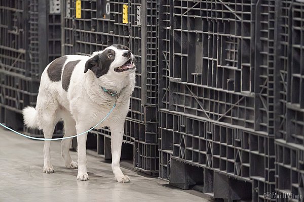 Pawstime_20260315_115045_DSC7798.jpg