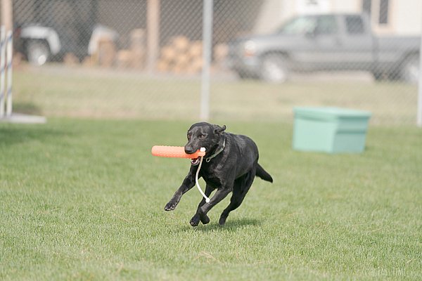Pawstime_20260418_103219_DSC9873-2.jpg