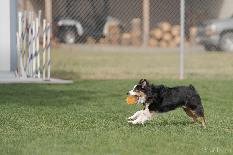 Pawstime_20260418_104705_DSC0493.jpg