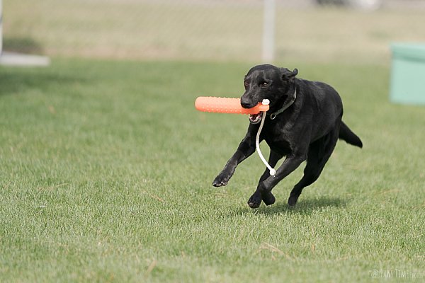 Pawstime_20260418_103219_DSC9873.jpg