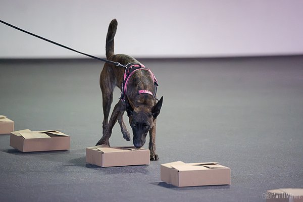 pawstime_20260815_113235_DSC06806.jpg