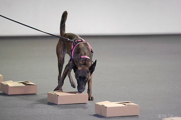 pawstime_20260815_113235_DSC06806-5.jpg